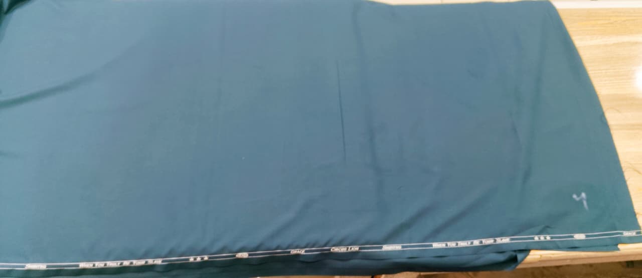 grace circus lion suiting